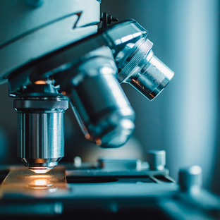 Kolik dává stát na vědu