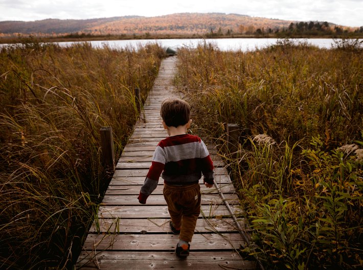 Kam kráčíš, sčítání lidu?