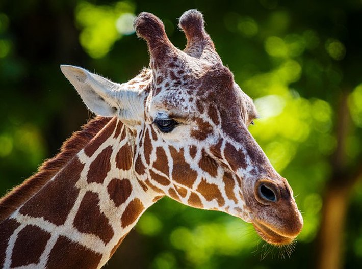 Cestování po Tanzanii řečí čísel