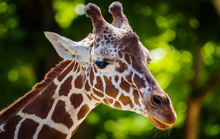 Cestování po Tanzanii řečí čísel