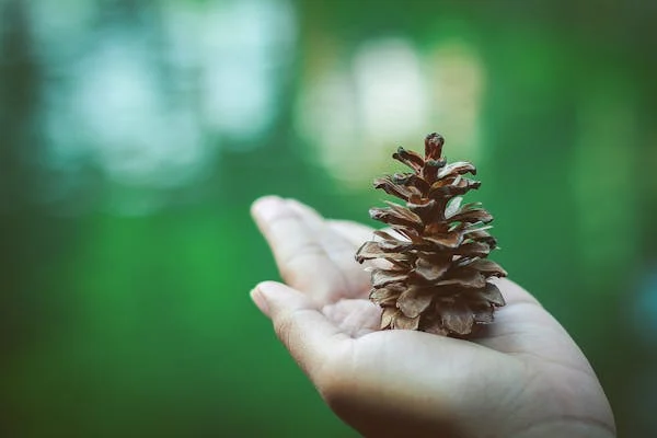 Celkové environmentální výdaje loni přesáhly 130 miliard