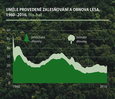 Statistika lesů