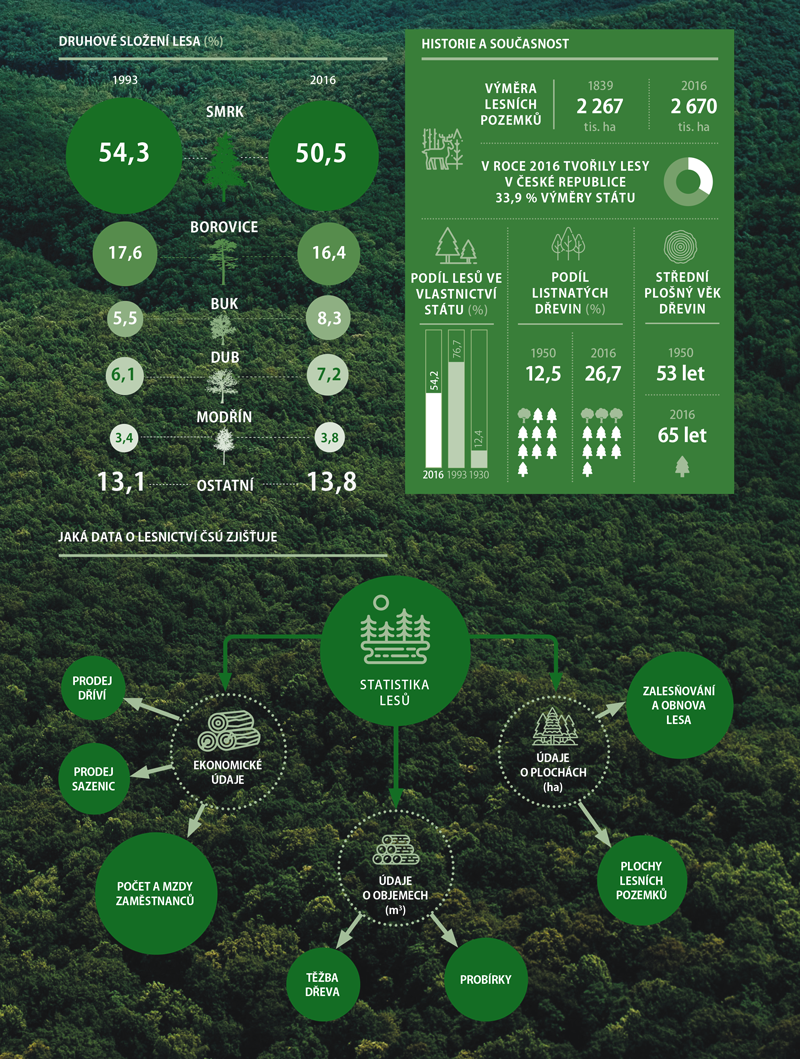Statistika lesů 3